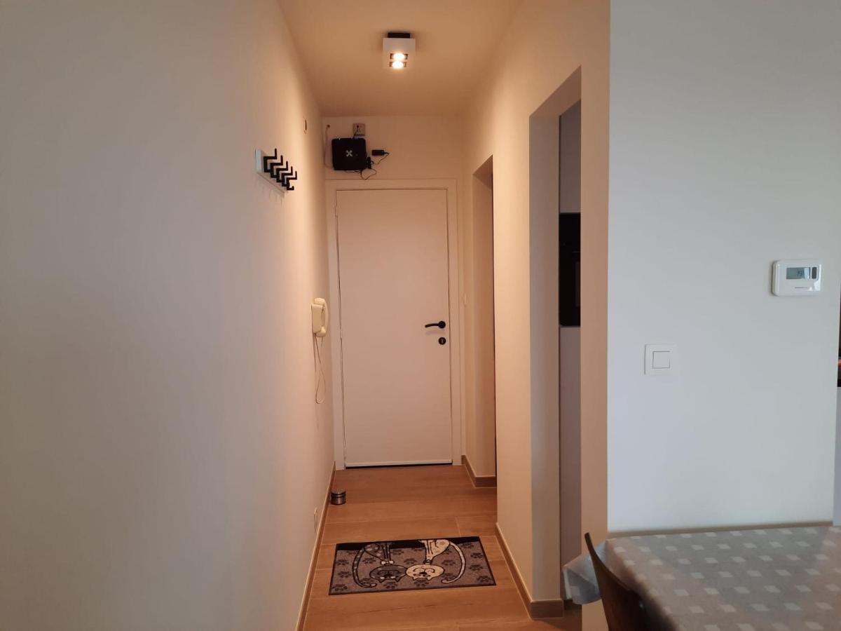 Premium Holidays - Charming Studio Sparrow Near The Beach Of Koksijde Exterior photo